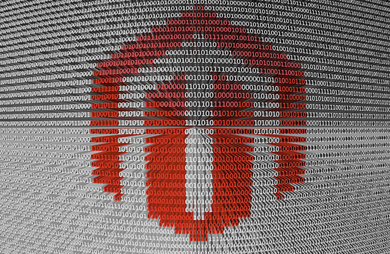 blog_image_magento